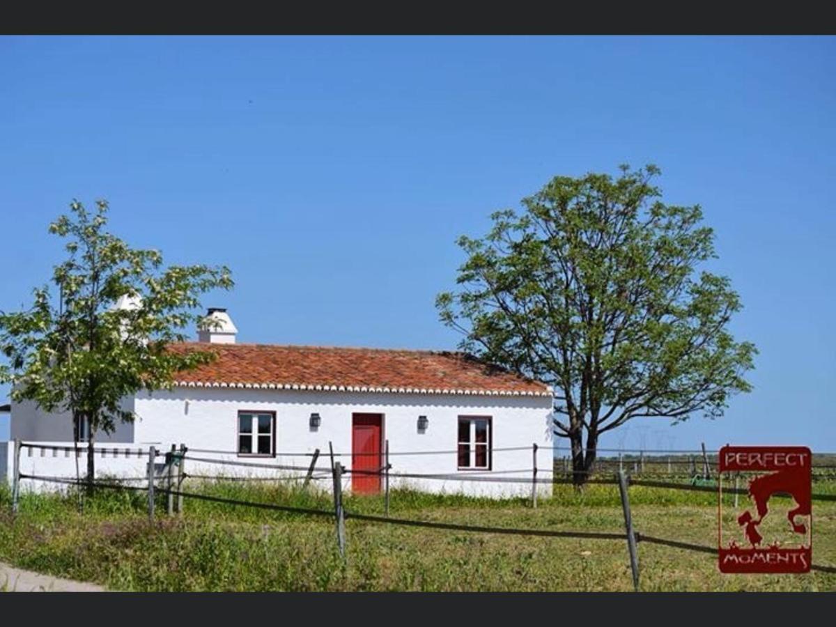 Monte Da Boavista - Country Family House Villa Alter do Chão Екстериор снимка