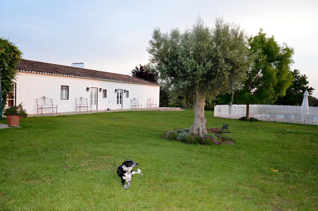 Monte Da Boavista - Country Family House Villa Alter do Chão Екстериор снимка