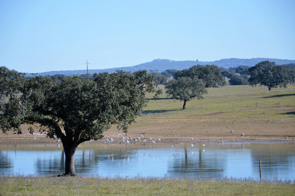 Monte Da Boavista - Country Family House Villa Alter do Chão Екстериор снимка
